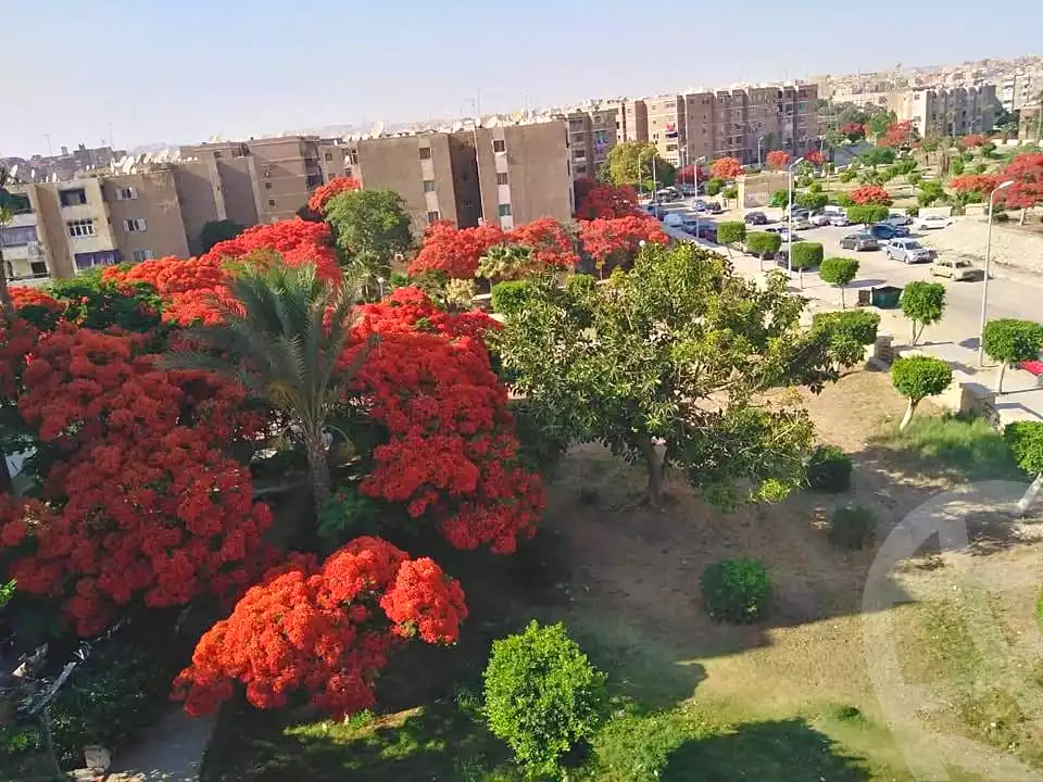 https://aqarmap.com.eg/en/listing/6927335-for-rent-cairo-15th-of-may-mjwr-4