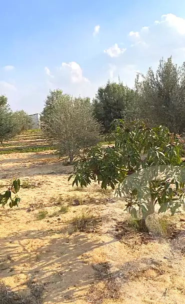 https://aqarmap.com.eg/ar/listing/6927356-for-sale-ismailia-ismailia-city-al-asher-men-ramadan-st