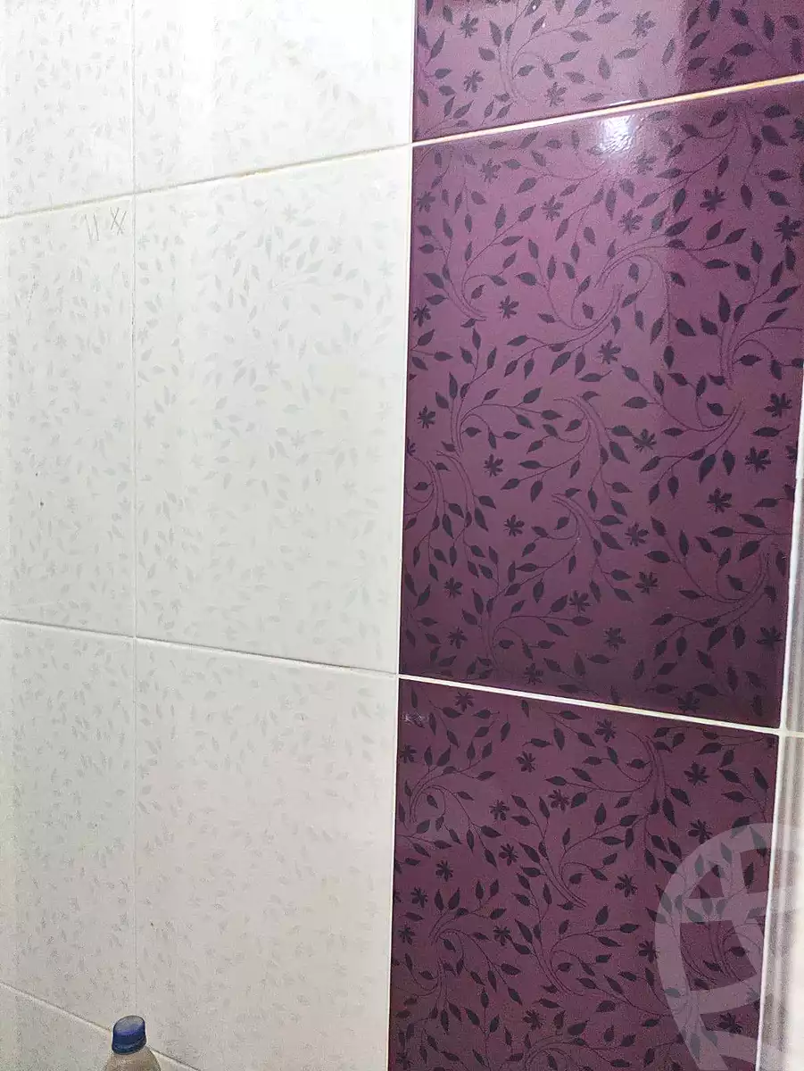 https://aqarmap.com.eg/ar/listing/6927689-for-sale-cairo-ain-shams-jsr-lswys-el-arbaeen-st