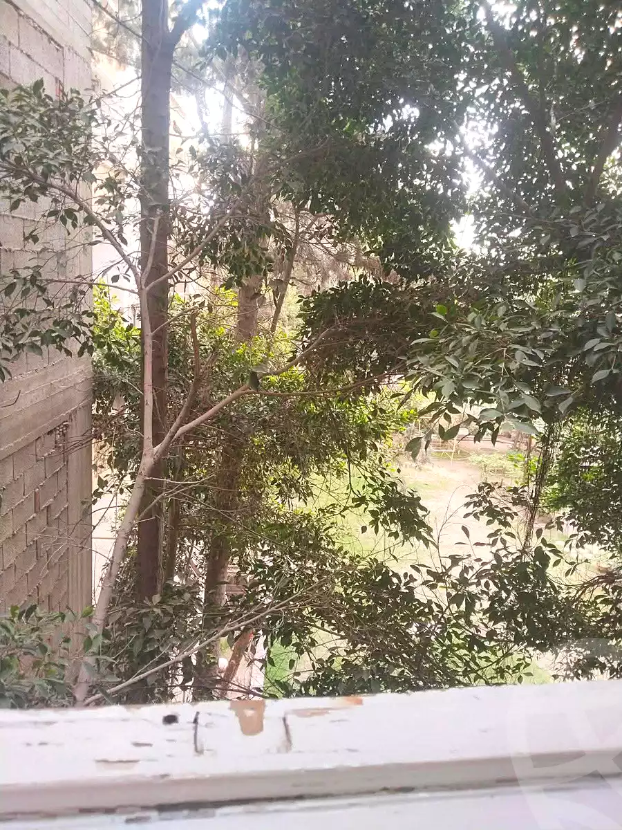 https://aqarmap.com.eg/ar/listing/6929077-for-sale-alexandria-al-agamy-lbytsh-el-hay-st