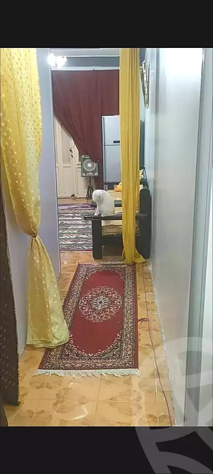 https://aqarmap.com.eg/ar/listing/6929381-for-sale-alexandria-al-agamy-el-hanouvel