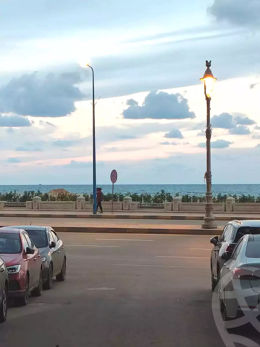 https://aqarmap.com.eg/ar/listing/6929904-for-sale-alexandria-el-asafra-shr-ljysh