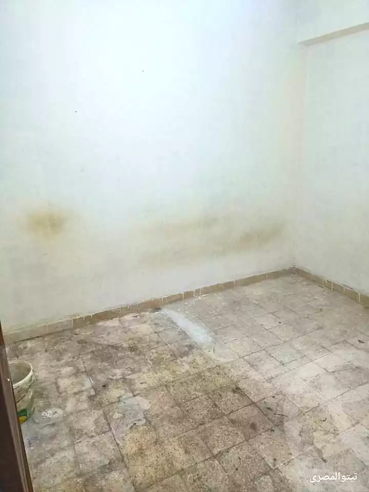 https://aqarmap.com.eg/ar/listing/6933444-for-rent-alexandria-el-asafra-l-sfr-qbly