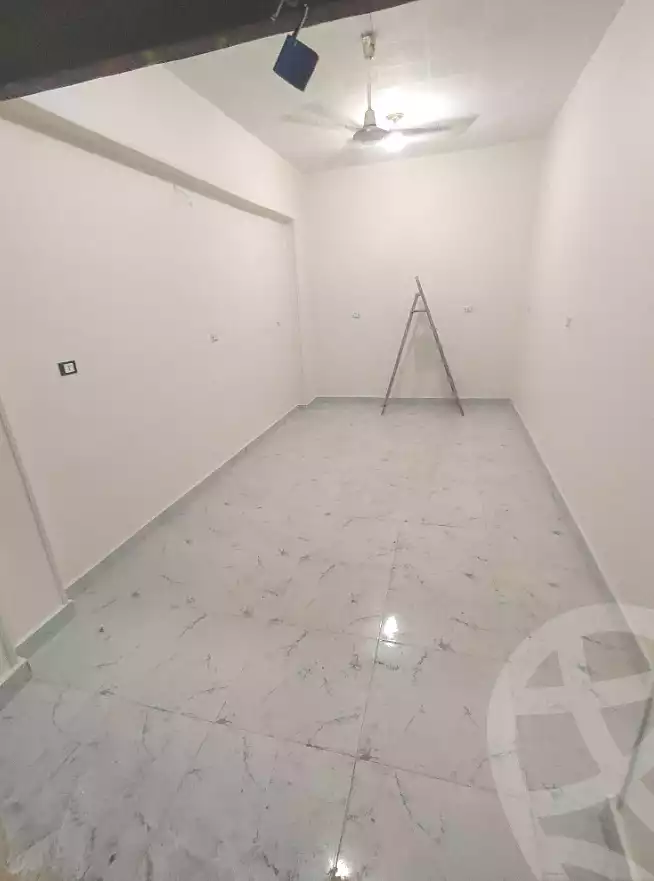https://aqarmap.com.eg/en/listing/6933523-for-sale-cairo-ain-shams-jsr-lswys-gamal-abd-el-naser-st