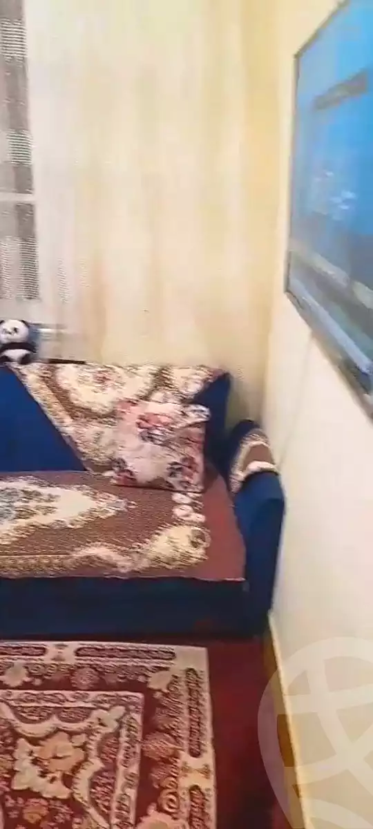 https://aqarmap.com.eg/en/listing/6935773-for-rent-cairo-el-zaytun-hlmy-lzytwn