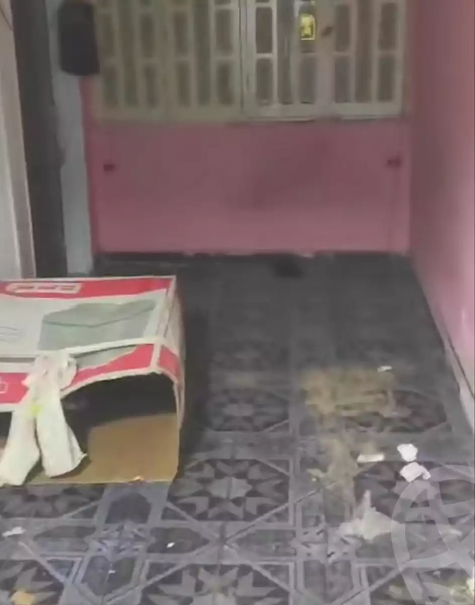 https://aqarmap.com.eg/en/listing/6936279-for-sale-cairo-ain-shams-ain-shams-el-sharkia-afifi-effat-st