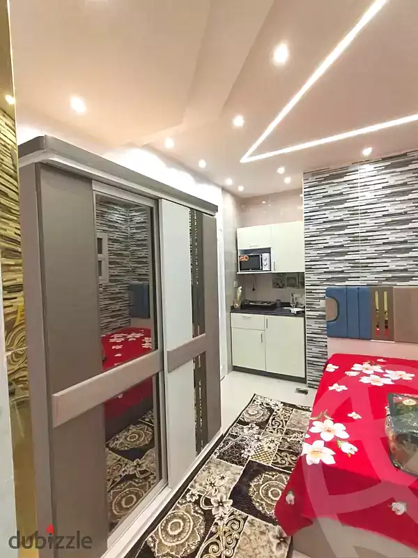 https://aqarmap.com.eg/en/listing/6937276-for-rent-cairo-nasr-city-abbas-el-akkad