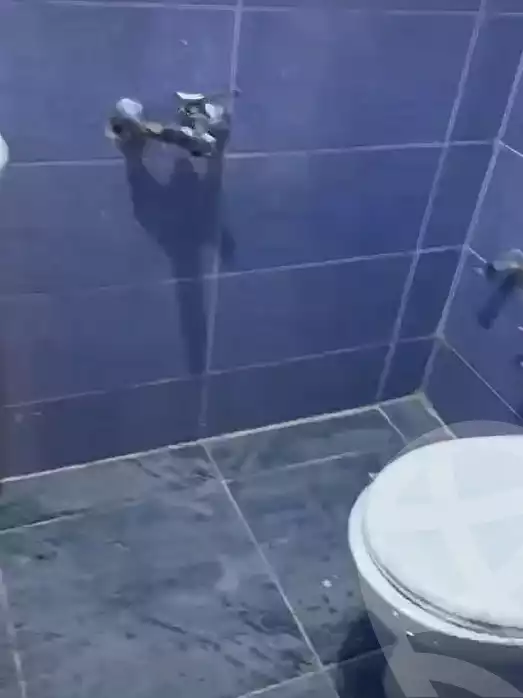 https://aqarmap.com.eg/ar/listing/6938215-for-sale-cairo-faisal-el-lebeny