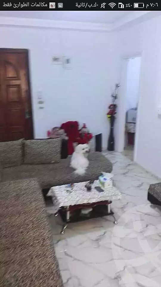 https://aqarmap.com.eg/en/listing/6945884-for-sale-alexandria-al-agamy-lbytsh-el-hanafeya-st