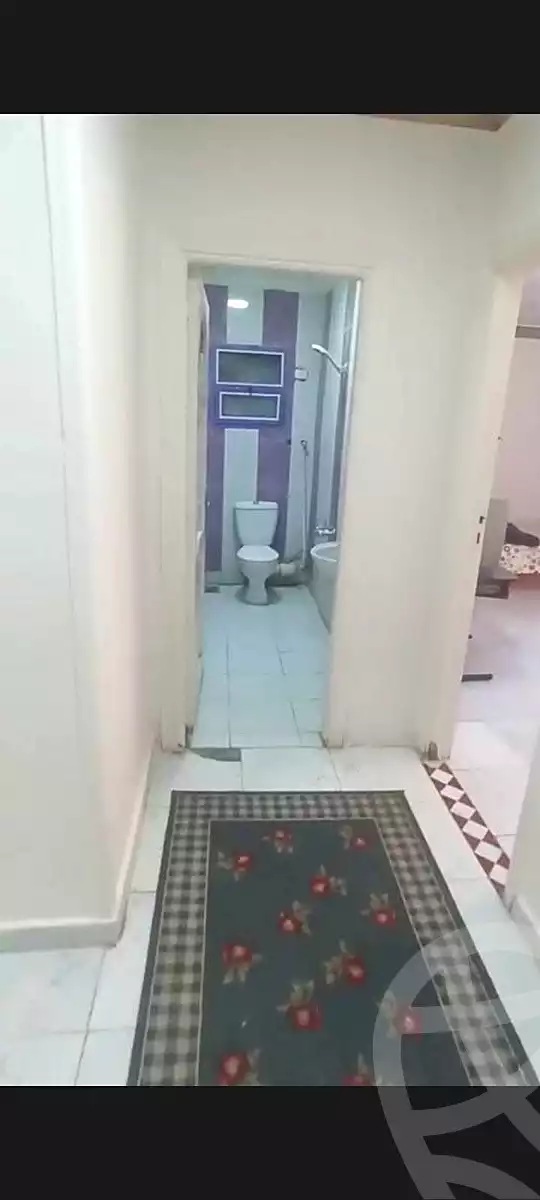 https://aqarmap.com.eg/ar/listing/6946246-for-sale-alexandria-miami