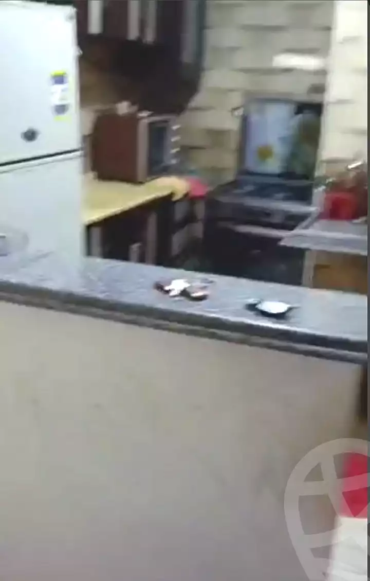 https://aqarmap.com.eg/en/listing/6946827-for-sale-cairo-el-haram-el-talbya-ezz-el-deen-omar-st