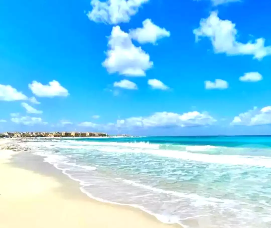 https://aqarmap.com.eg/ar/listing/6952819-for-sale-north-coast-resorts-ny-by-jmyr-yjybt