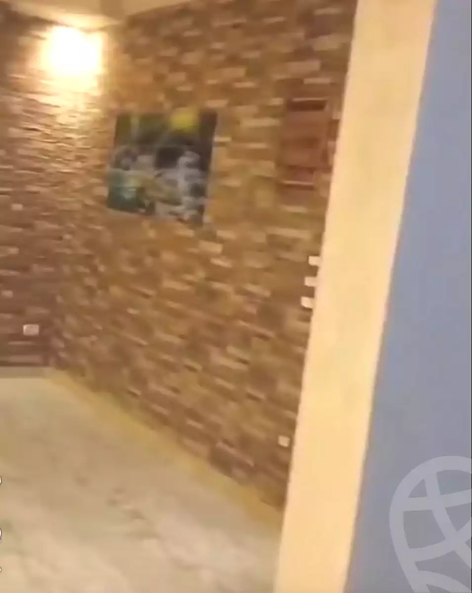 https://aqarmap.com.eg/en/listing/6954363-for-rent-cairo-ain-shams-ahmed-esmat-st
