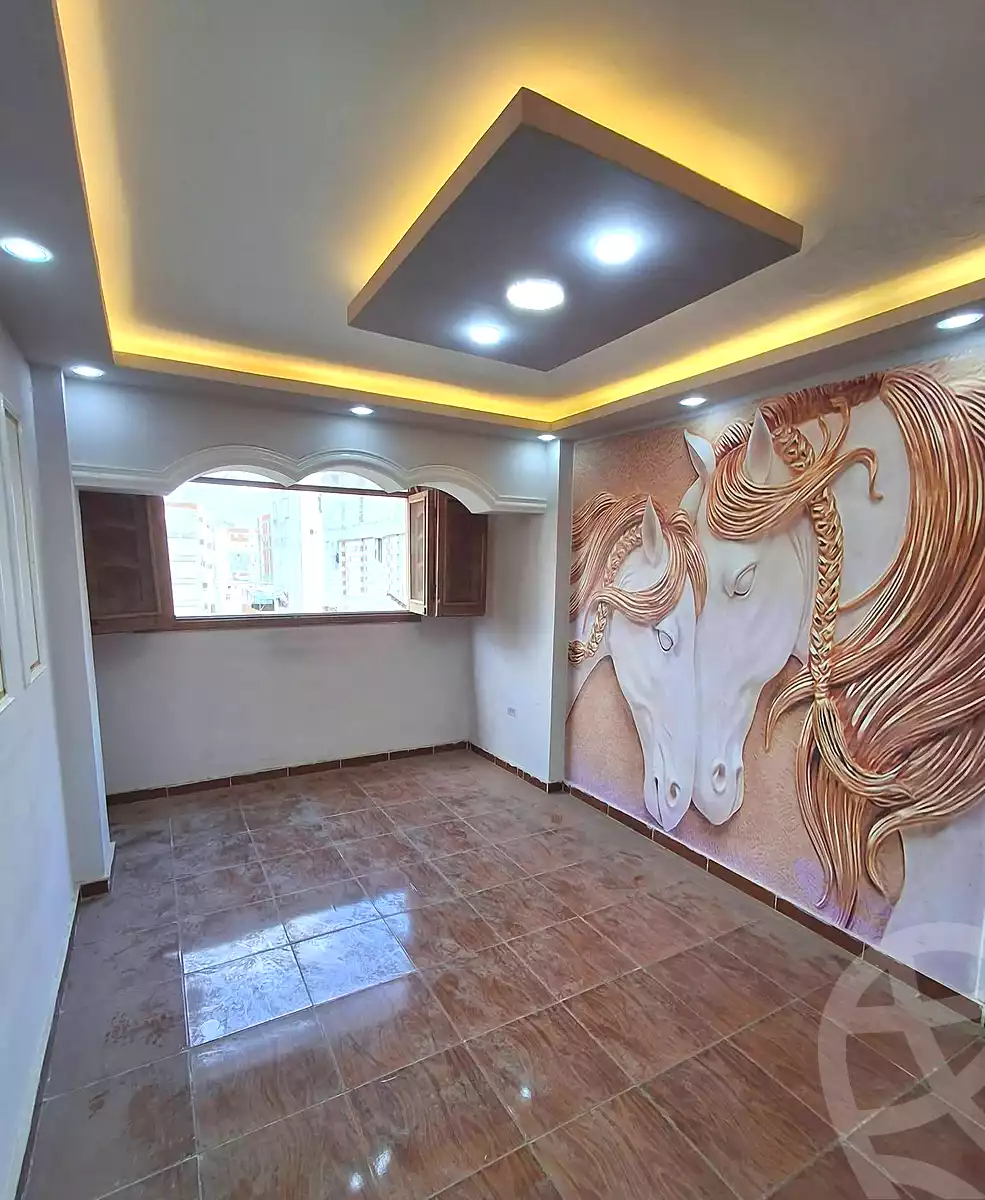 https://aqarmap.com.eg/en/listing/6956287-for-sale-alexandria-lsywf-shamaa
