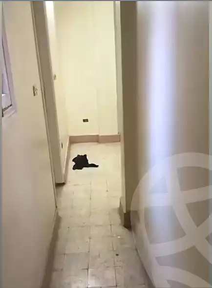https://aqarmap.com.eg/en/listing/6956911-for-rent-cairo-hadayek-el-koba