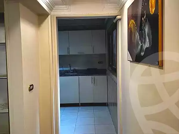 https://aqarmap.com.eg/en/listing/6957381-for-rent-cairo-nasr-city