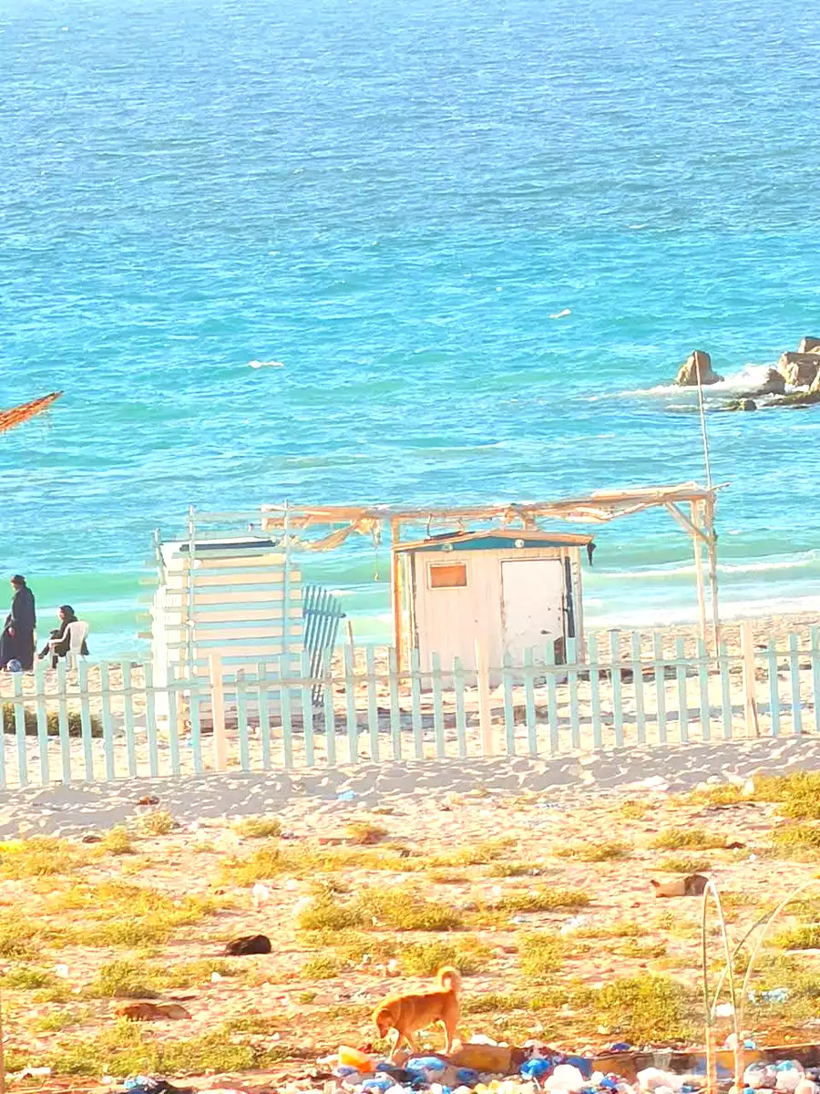 https://aqarmap.com.eg/ar/listing/6957851-for-sale-alexandria-al-agamy-shataa-el-nakheel