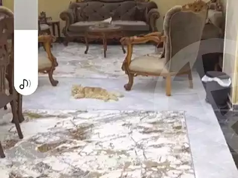https://aqarmap.com.eg/en/listing/6938588-for-sale-qalyubia-el-khanka-el-gabl-el-asfr