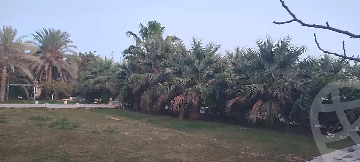 https://aqarmap.com.eg/ar/listing/6959847-for-rent-alexandria-borg-el-arab-el-bahira-st