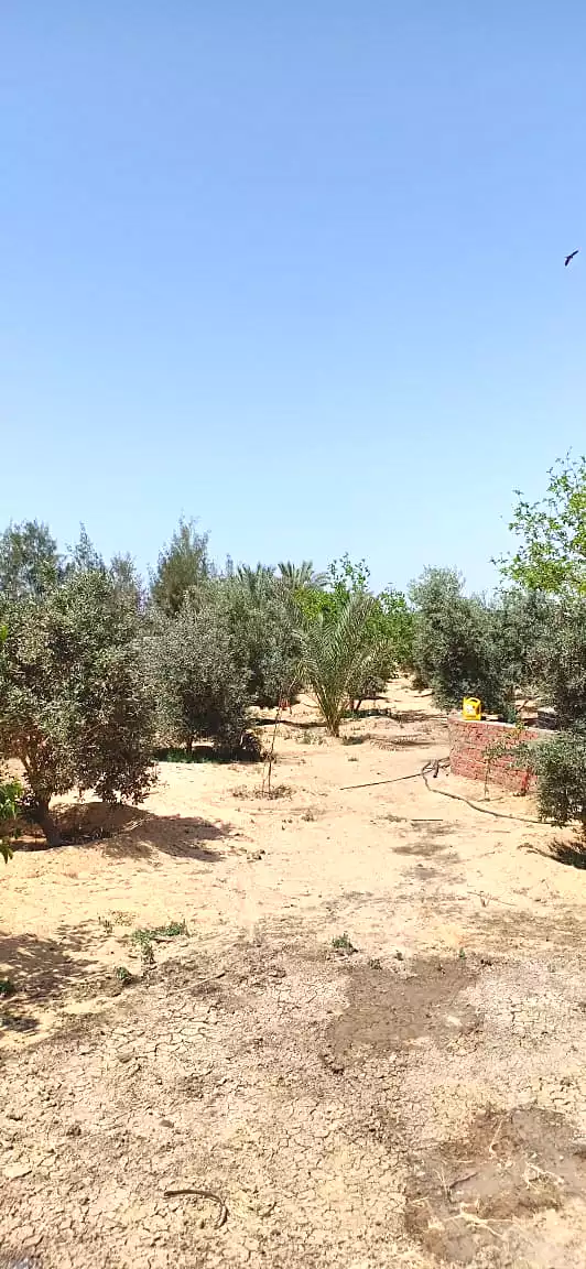 https://aqarmap.com.eg/en/listing/6962352-for-sale-ismailia-fayed-al-sawhel-st