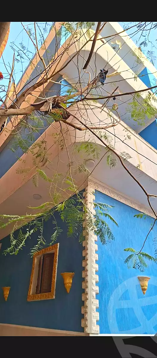 https://aqarmap.com.eg/en/listing/6962950-for-sale-cairo-el-marg-lmrj-ljdyd