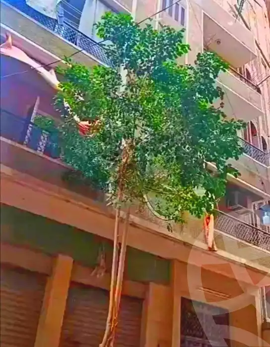 https://aqarmap.com.eg/ar/listing/6963589-for-sale-cairo-el-omraneya-l-mrny-lgrby