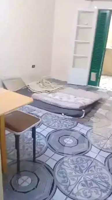 https://aqarmap.com.eg/en/listing/6964952-for-sale-cairo-manial