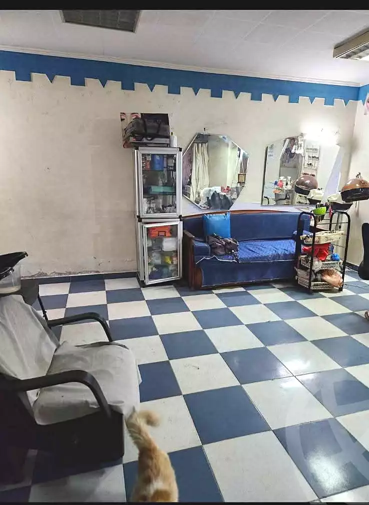 https://aqarmap.com.eg/en/listing/6965117-for-sale-alexandria-fyktwry