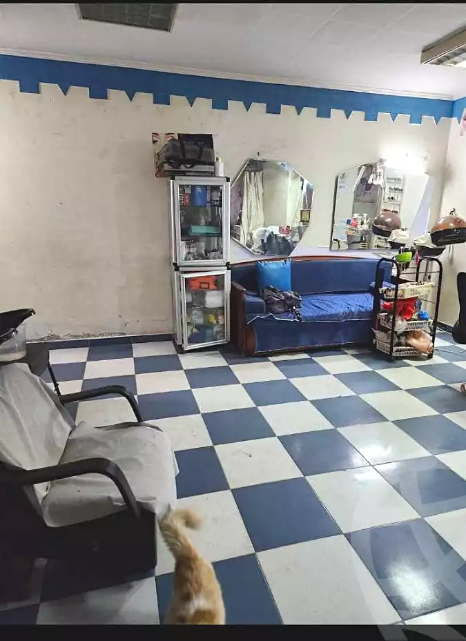 https://aqarmap.com.eg/ar/listing/6965632-for-sale-alexandria-fyktwry