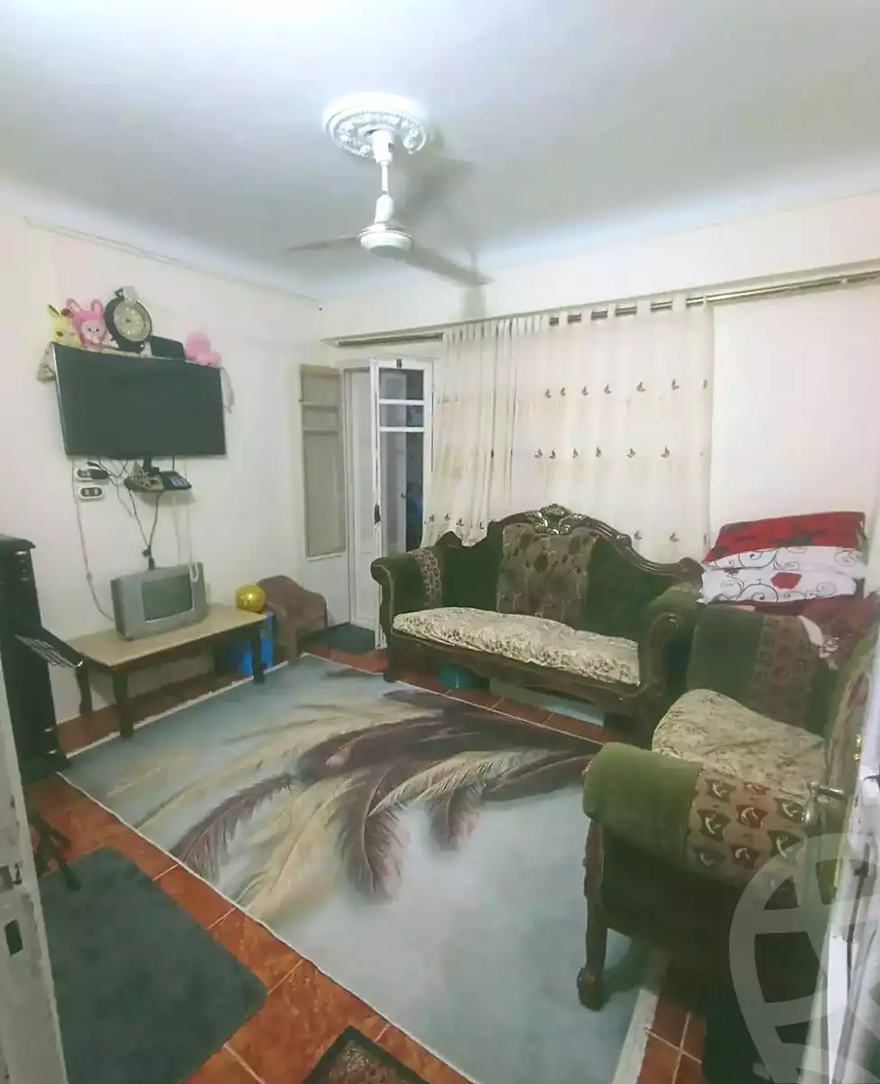 https://aqarmap.com.eg/en/listing/6966169-for-sale-alexandria-lsywf-el-falki