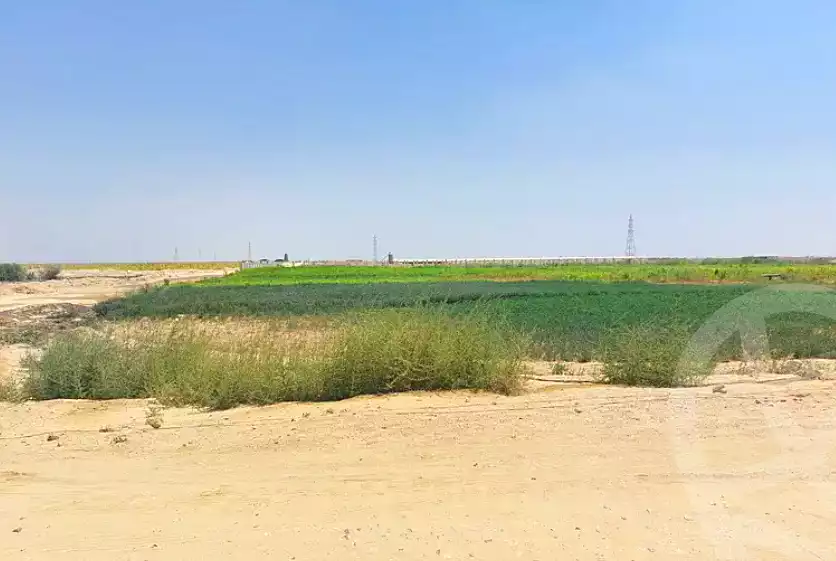 https://aqarmap.com.eg/en/listing/6967201-for-sale-beni-suef-el-wasta-medom