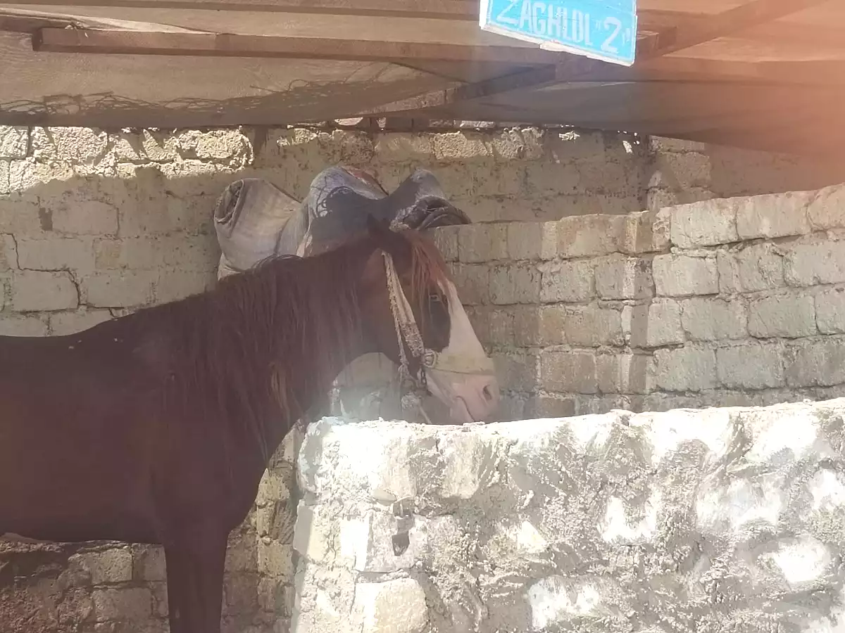 https://aqarmap.com.eg/ar/listing/6968756-for-sale-asyut-asyut-city-al-zeraieen-st
