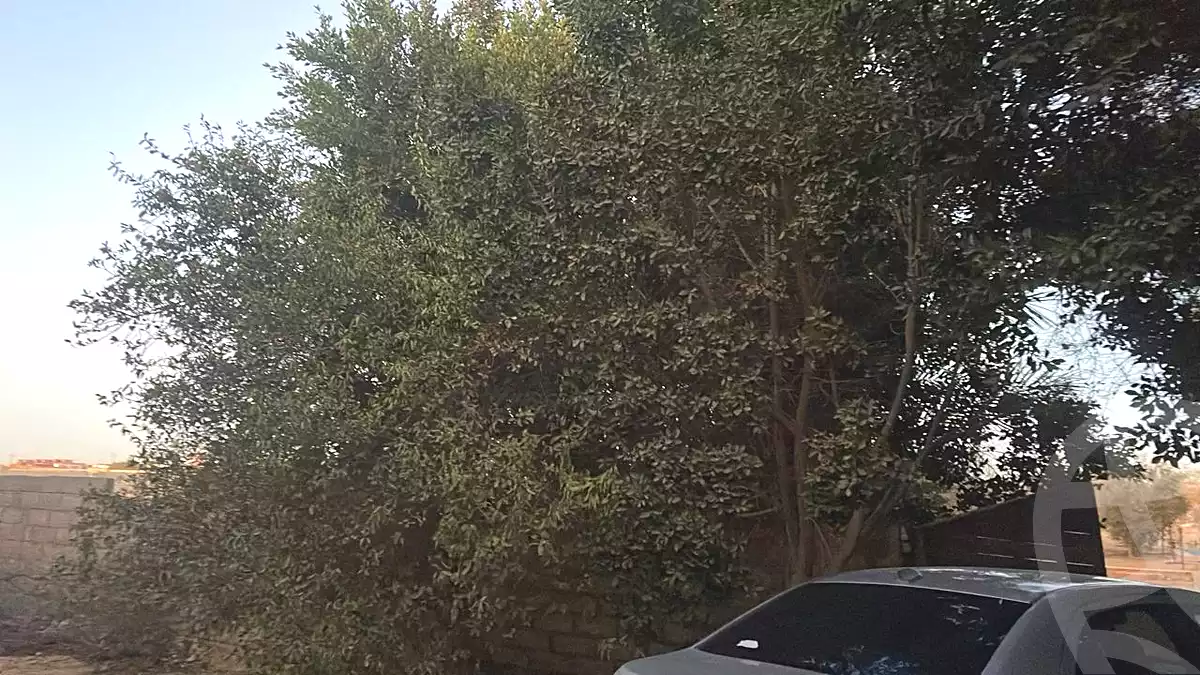 https://aqarmap.com.eg/ar/listing/6968990-for-sale-cairo-6th-of-october-green-belt-wadi-el-nile
