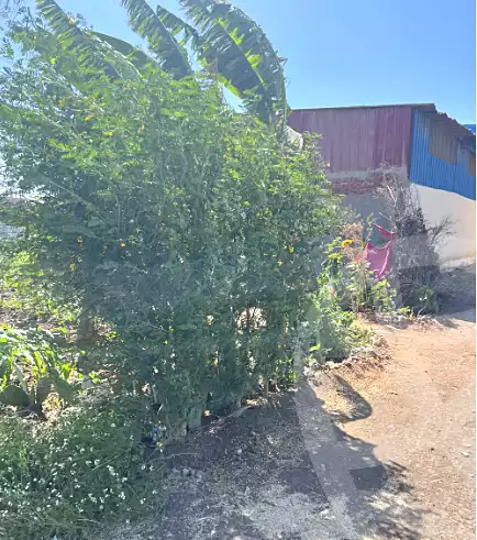 https://aqarmap.com.eg/en/listing/6971195-for-sale-sharqia-zagazig-haret-razna