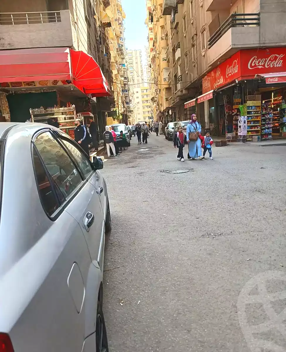 https://aqarmap.com.eg/en/listing/6972765-for-sale-alexandria-el-asafra-ahmed-al-abany-st