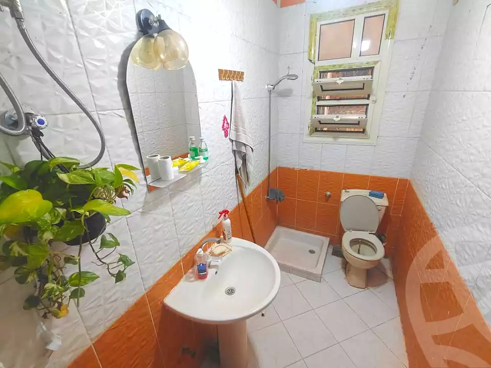 https://aqarmap.com.eg/en/listing/6976462-for-rent-alexandria-sidi-gaber-el-mosheer-ahmed-isamil-st