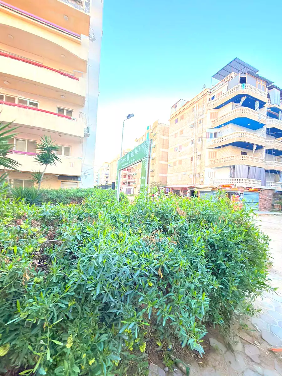 https://aqarmap.com.eg/en/listing/6977254-for-sale-alexandria-al-agamy-shataa-el-nakheel
