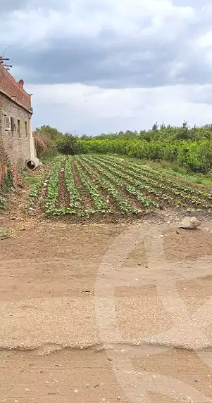 https://aqarmap.com.eg/ar/listing/6977388-for-sale-dakahlia-el-mansoura-gamasa-road