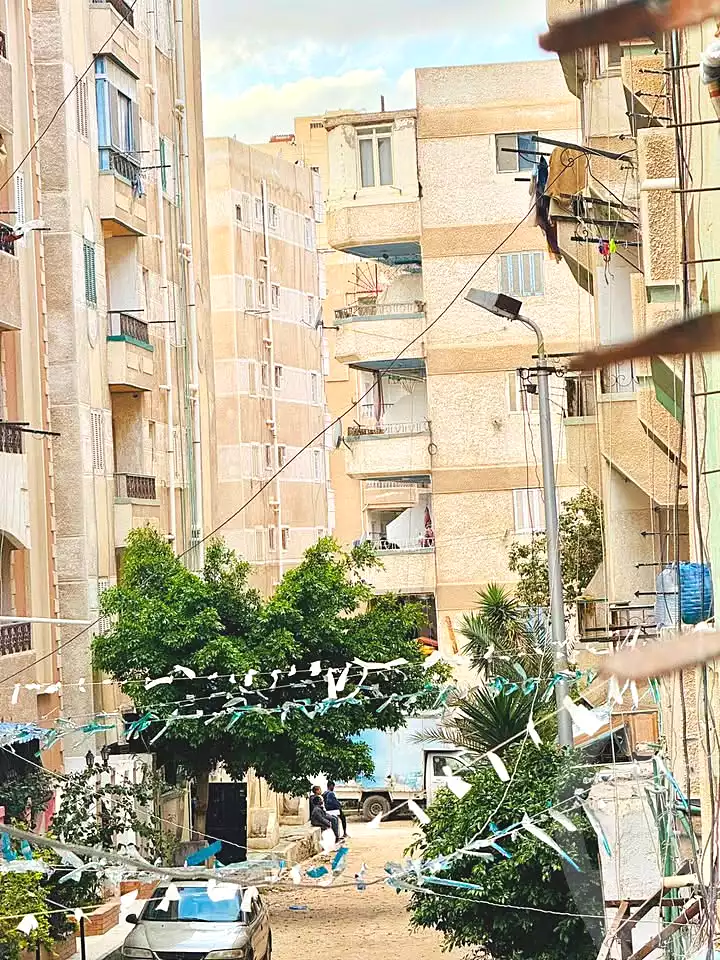 https://aqarmap.com.eg/en/listing/6978078-for-sale-alexandria-al-agamy-shataa-el-nakheel