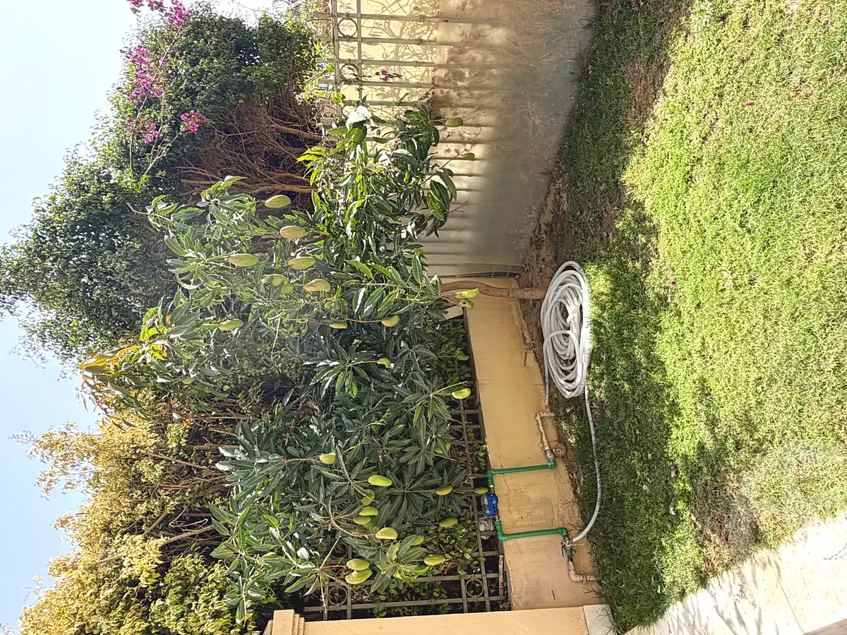 https://aqarmap.com.eg/en/listing/6979977-for-sale-cairo-el-shorouk-compounds-el-patio-5-east
