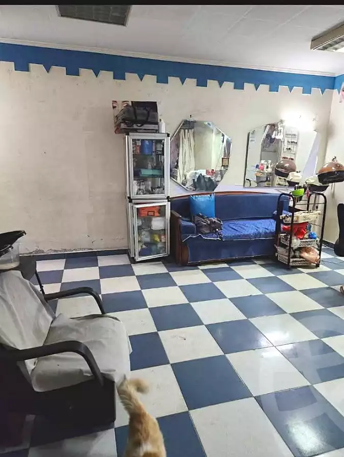 https://aqarmap.com.eg/en/listing/6981238-for-sale-alexandria-fyktwry