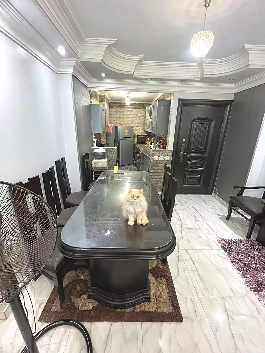 https://aqarmap.com.eg/ar/listing/6983307-for-sale-cairo-ain-shams-alf-maskn-ismail-el-fangari-st