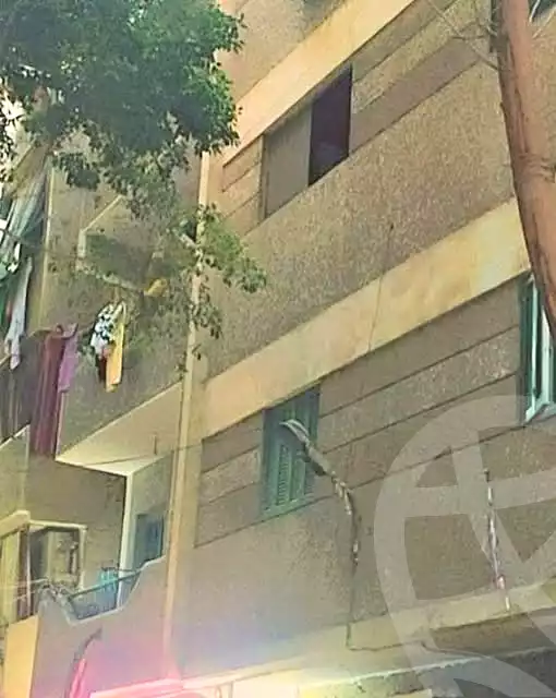 https://aqarmap.com.eg/en/listing/6983933-for-sale-cairo-el-haram-el-talbya-tersa-st
