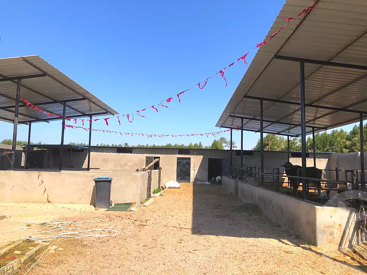 https://aqarmap.com.eg/ar/listing/6987017-for-sale-alexandria-borg-el-arab-el-zohour-st