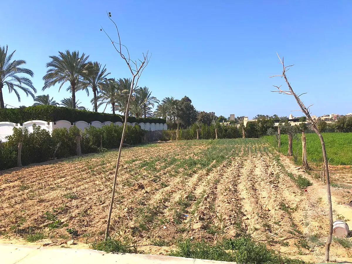 https://aqarmap.com.eg/ar/listing/6987017-for-sale-alexandria-borg-el-arab-el-zohour-st