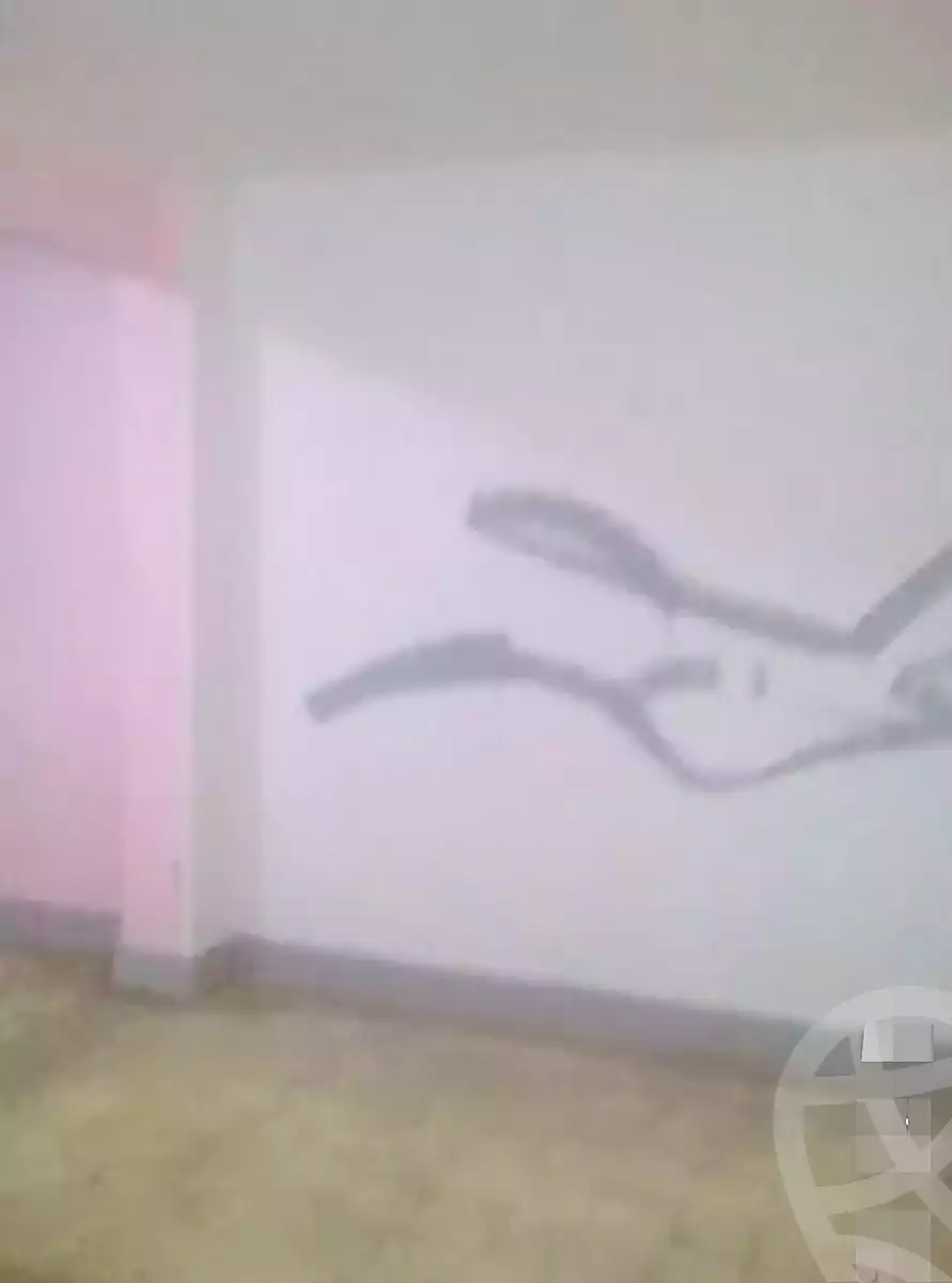 https://aqarmap.com.eg/en/listing/6987169-for-rent-cairo-shoubra