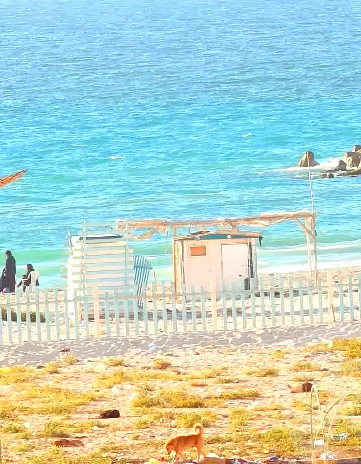 https://aqarmap.com.eg/ar/listing/6988186-for-sale-alexandria-al-agamy-shataa-el-nakheel