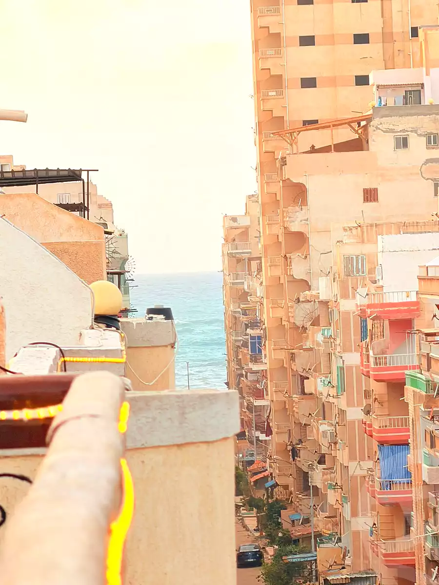 https://aqarmap.com.eg/en/listing/6993181-for-sale-alexandria-al-agamy-shataa-el-nakheel