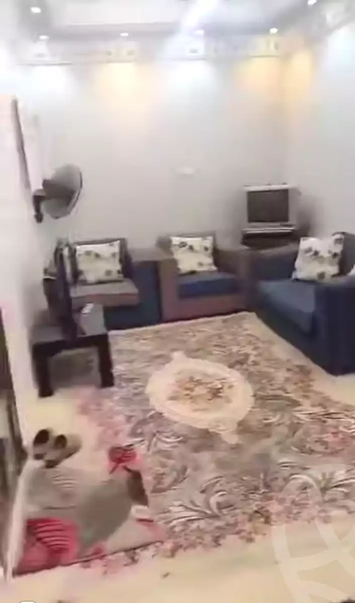 https://aqarmap.com.eg/en/listing/6993299-for-sale-cairo-faisal-el-tawabeq-el-mansheya-st