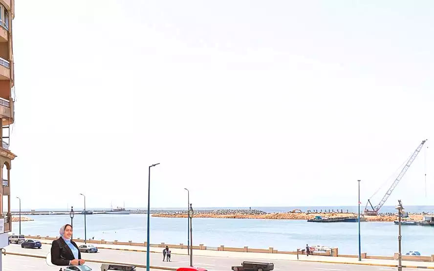 https://aqarmap.com.eg/en/listing/6993749-for-sale-alexandria-el-saraya